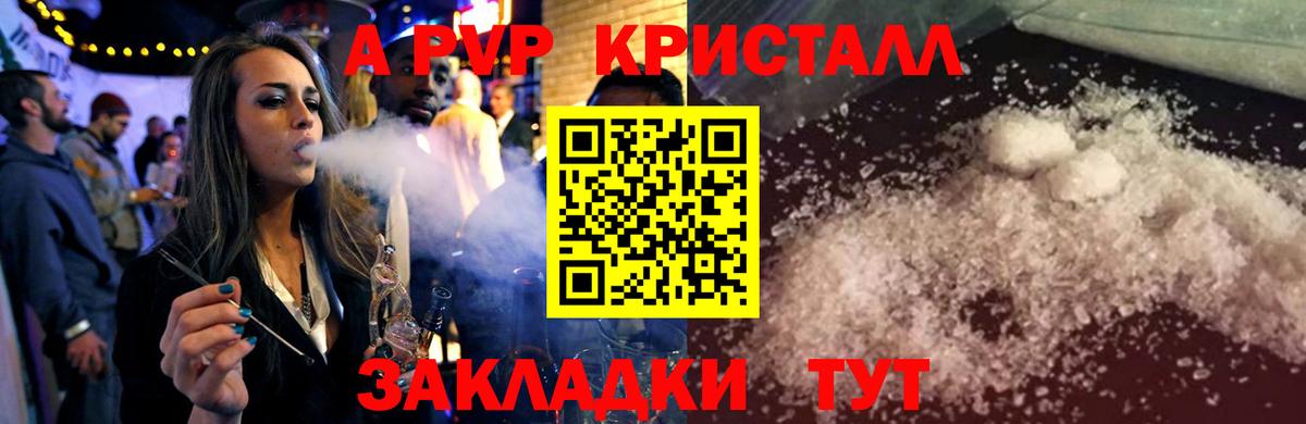 Альфа ПВП СК Магадан