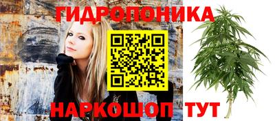 ECSTASY Ирбит