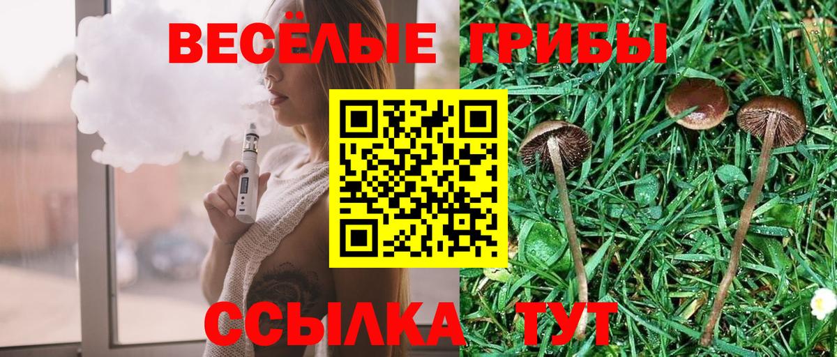 закладка  Вход с VPN  Галлюциногенные грибы мухоморы  Магадан  Галлюциногенные грибы GOLDEN TEACHER 