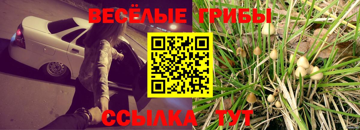 Псилоцибиновые грибы Cubensis Магадан